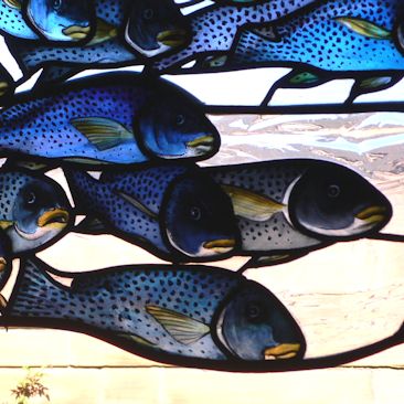 Plants: image 3 0f 4 thumb