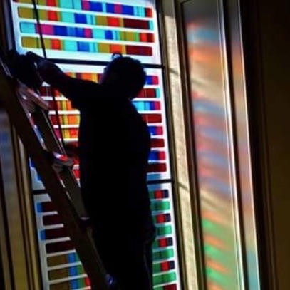 Plants: image 4 0f 4 thumb