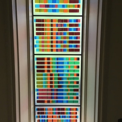 Plants: image 3 0f 4 thumb