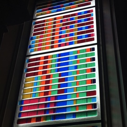 Plants: image 1 0f 4 thumb