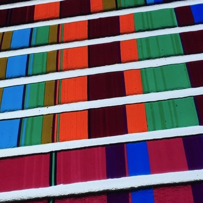 Plants: image 4 0f 4 thumb